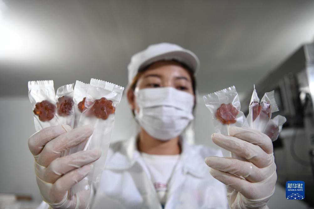 串子有输一半的怎么算